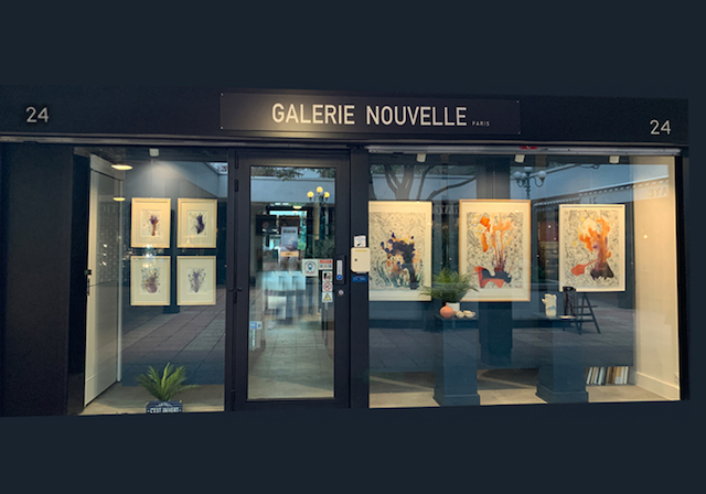 Galerie Nouvelle Paris